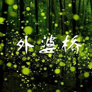 久久综合这里只有精品
